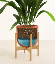 Load image into Gallery viewer, Earth Red stand:bamboo