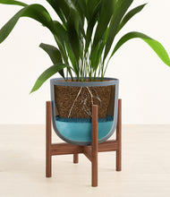 Load image into Gallery viewer, Iron Gray stand:walnut