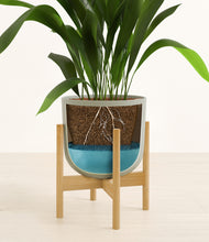 Load image into Gallery viewer, Sage Green stand:bamboo