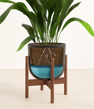 Load image into Gallery viewer, Stone Black stand:walnut