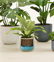 Load image into Gallery viewer, Earthy