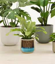 Load image into Gallery viewer, Woodland