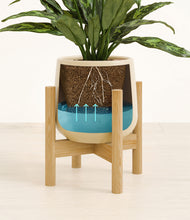 Load image into Gallery viewer, Almond Green stand:bamboo