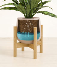 Load image into Gallery viewer, Eternal Gray stand:bamboo