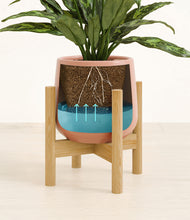 Load image into Gallery viewer, Calm Rose stand:bamboo