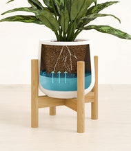 Load image into Gallery viewer, White stand:bamboo