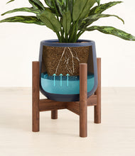 Load image into Gallery viewer, Deep Navy stand:walnut