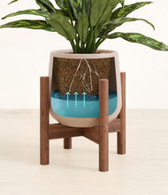 Load image into Gallery viewer, Eternal Gray stand:walnut