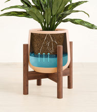 Load image into Gallery viewer, Gentle Pink stand:walnut