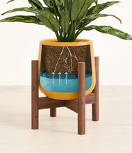 Load image into Gallery viewer, Mustard stand:walnut