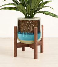 Load image into Gallery viewer, Turquoise stand:walnut