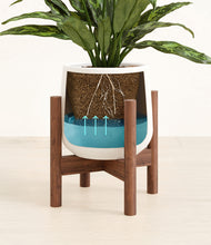 Load image into Gallery viewer, White stand:walnut