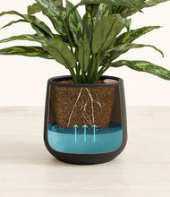 Load image into Gallery viewer, Black