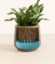 Load image into Gallery viewer, -