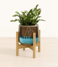 Load image into Gallery viewer, -