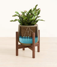 Load image into Gallery viewer, -