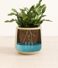 Load image into Gallery viewer, -