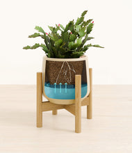 Load image into Gallery viewer, -