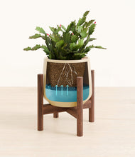 Load image into Gallery viewer, -