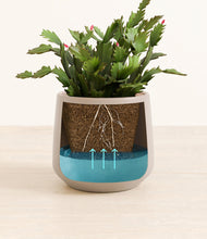 Load image into Gallery viewer, -