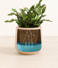 Load image into Gallery viewer, -