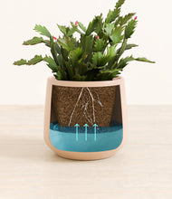 Load image into Gallery viewer, -