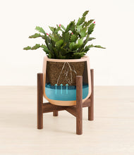 Load image into Gallery viewer, -