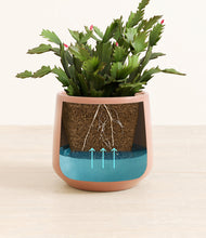 Load image into Gallery viewer, -