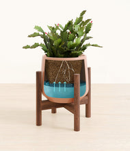 Load image into Gallery viewer, -