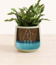 Load image into Gallery viewer, -