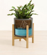 Load image into Gallery viewer, -