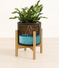 Load image into Gallery viewer, -