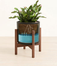 Load image into Gallery viewer, -