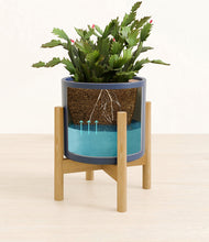 Load image into Gallery viewer, -