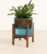 Load image into Gallery viewer, -