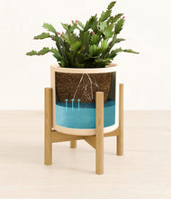 Load image into Gallery viewer, -