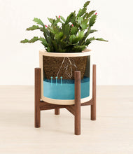 Load image into Gallery viewer, -