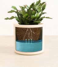 Load image into Gallery viewer, -