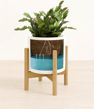 Load image into Gallery viewer, -