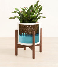 Load image into Gallery viewer, -