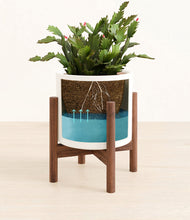 Load image into Gallery viewer, -