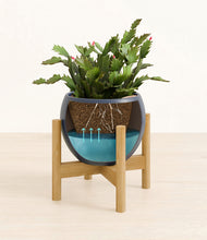 Load image into Gallery viewer, -