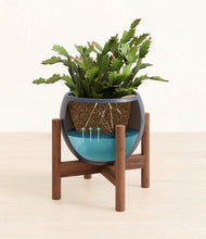 Load image into Gallery viewer, -