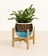 Load image into Gallery viewer, -