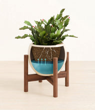 Load image into Gallery viewer, -