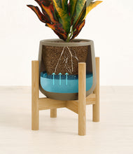 Load image into Gallery viewer, Olive stand:bamboo