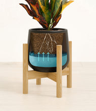 Load image into Gallery viewer, Black stand:bamboo