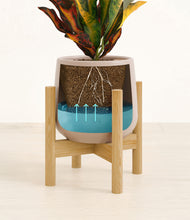 Load image into Gallery viewer, Eternal Gray stand:bamboo