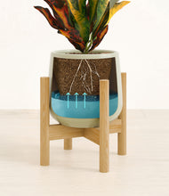Load image into Gallery viewer, Turquoise stand:bamboo