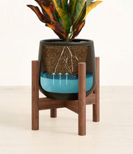 Load image into Gallery viewer, Black stand:walnut